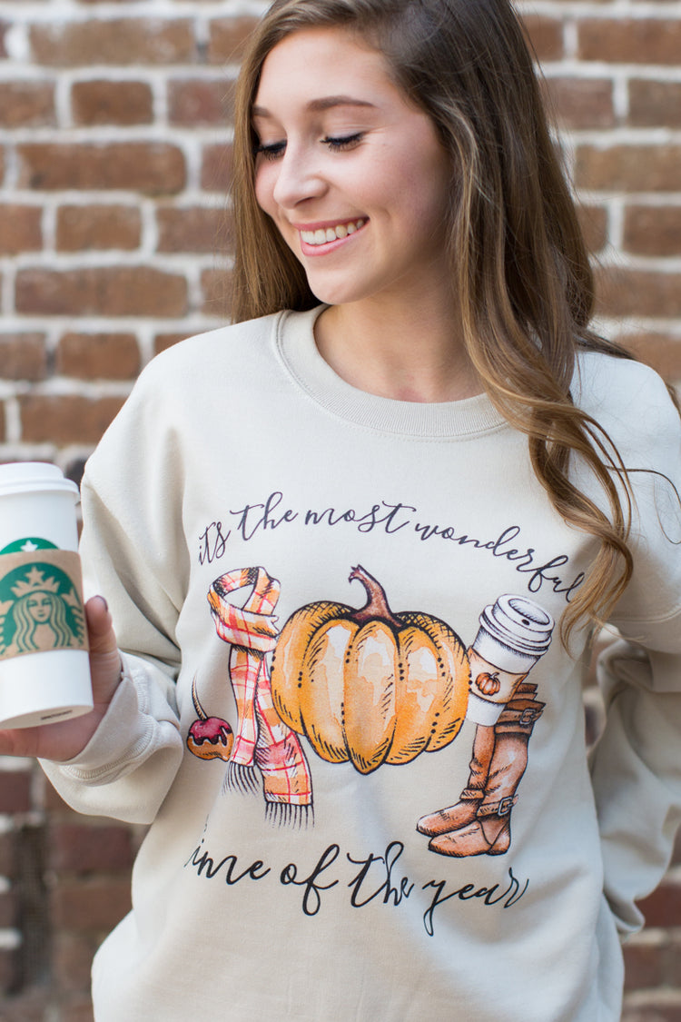 Fall 'Most Wonderful Time' Sweatshirt