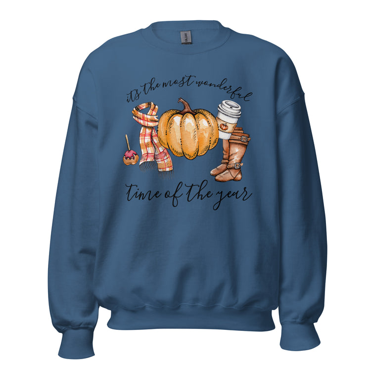 Fall 'Most Wonderful Time' Sweatshirt