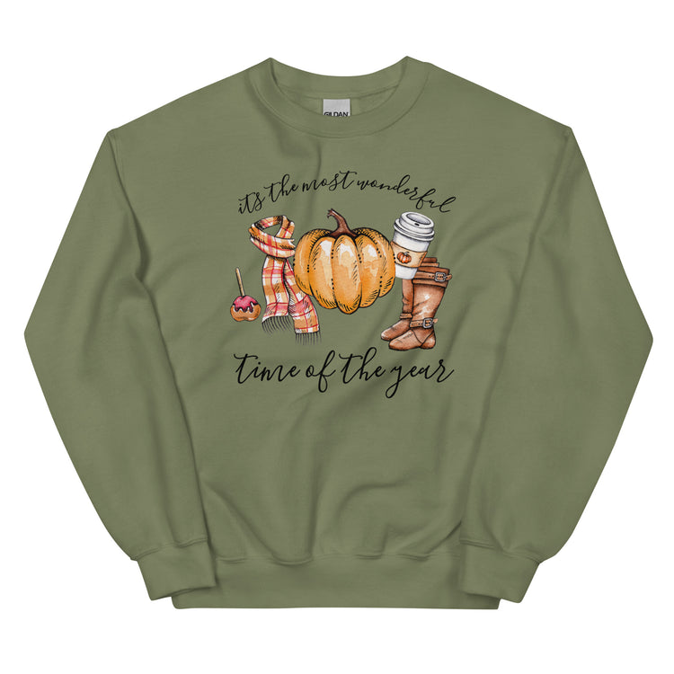 Fall 'Most Wonderful Time' Sweatshirt