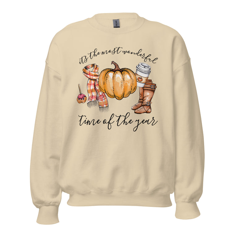 Fall 'Most Wonderful Time' Sweatshirt