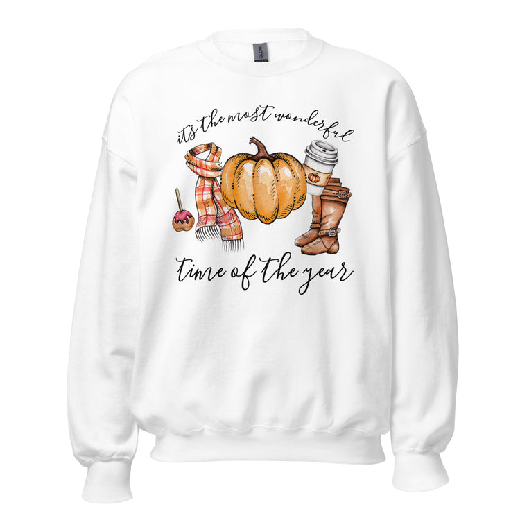 Fall 'Most Wonderful Time' Sweatshirt