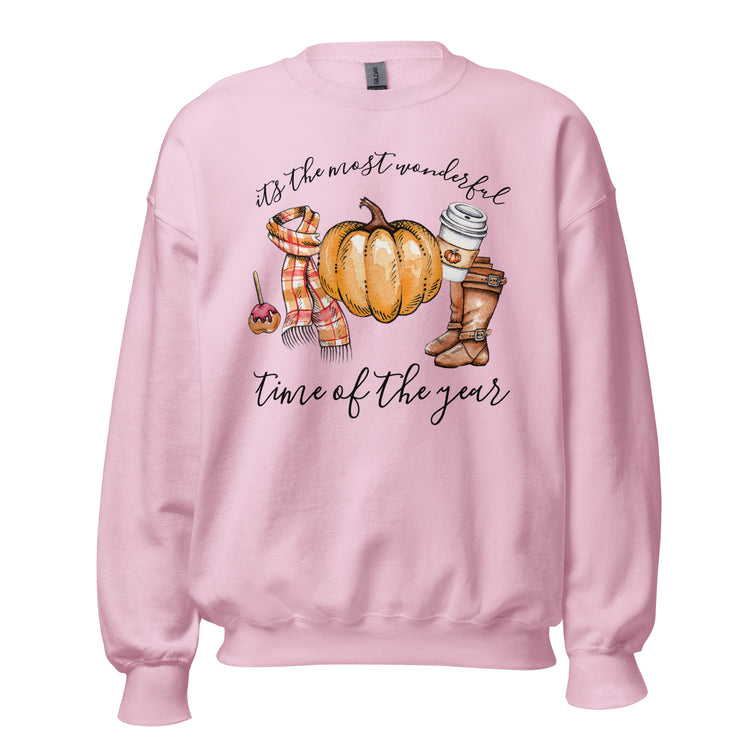 Fall 'Most Wonderful Time' Sweatshirt